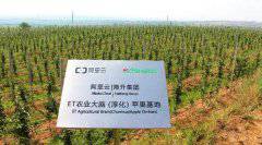 AI������s��ȥ�r��