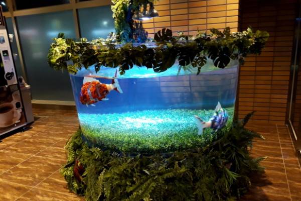 �^�p�~�C�����Ј����_���ߡ���AIROˮ�C�����ݳ�ϵ�y�_�l......ˮ���^�����}���@�Ј���չ