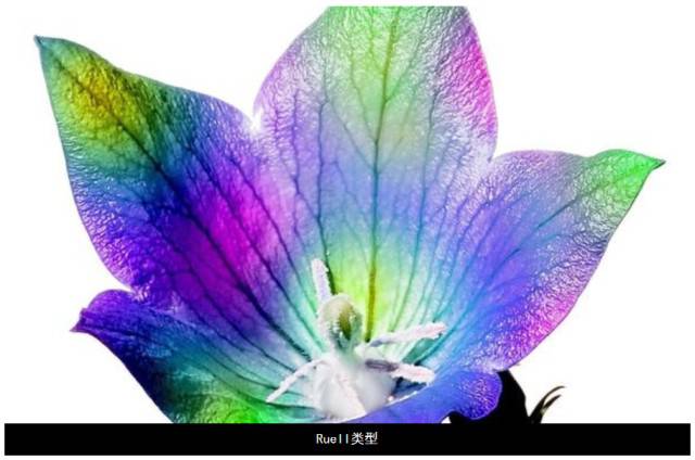 ����ڤ��C����-���l���ڄ���