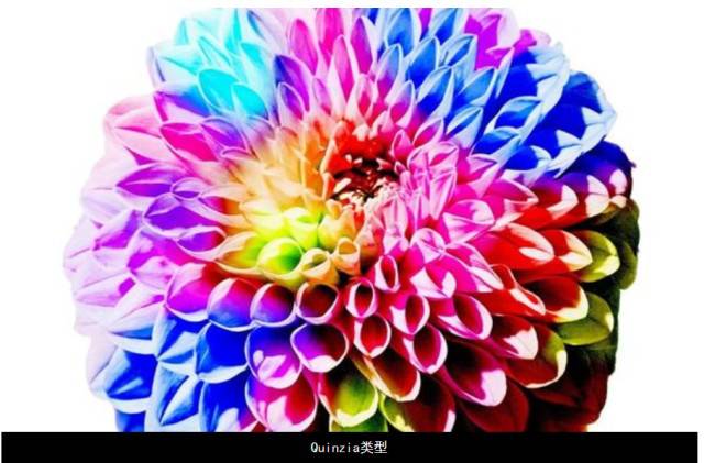 ����ڤ��C����-���l���ڄ���