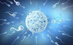 �ɹ������ܾ��ӆ��l��΢�͙C���˿������w���΄ӣ��\��ˎ��