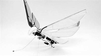 �����һ���Ȅӳ���w�еğo�˙C