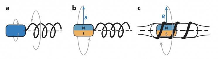 �@15���t���C���ˣ����ܕ�׌�t��ʧ�I
