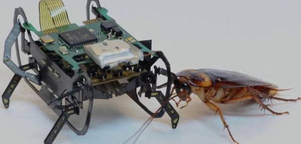 ��˼�O�֣�δ���㿴�����@Щ������ܶ��ǙC���ˣ�