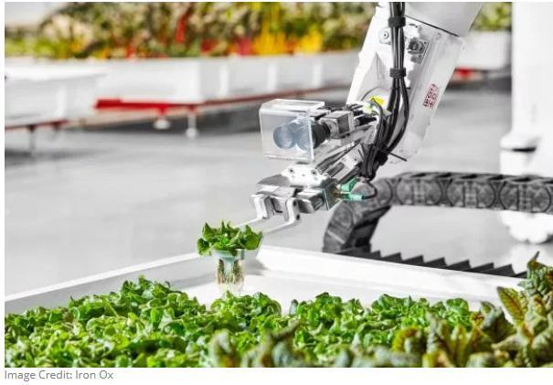 �����ׂ�ȫ�Ԅӻ��҃��r��Ͷ�����a �a������y�Nֲ��30�౶