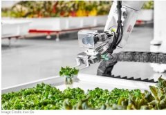 美國首個全自動化室內農場投入生產 產量為傳統種植的30多倍